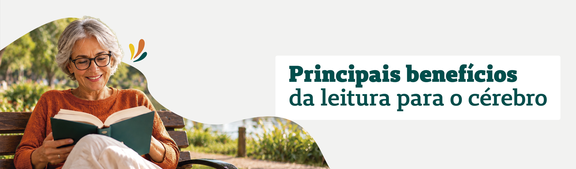 benefícios da leitura banner informativo