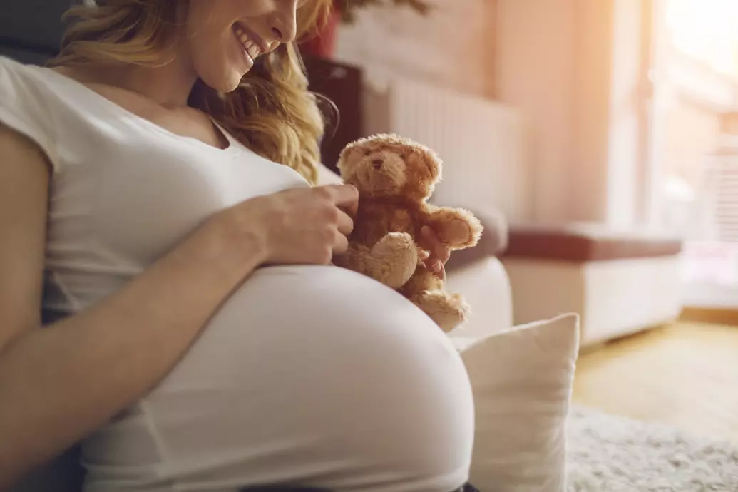 gravida-feliz-ursinho-barriga